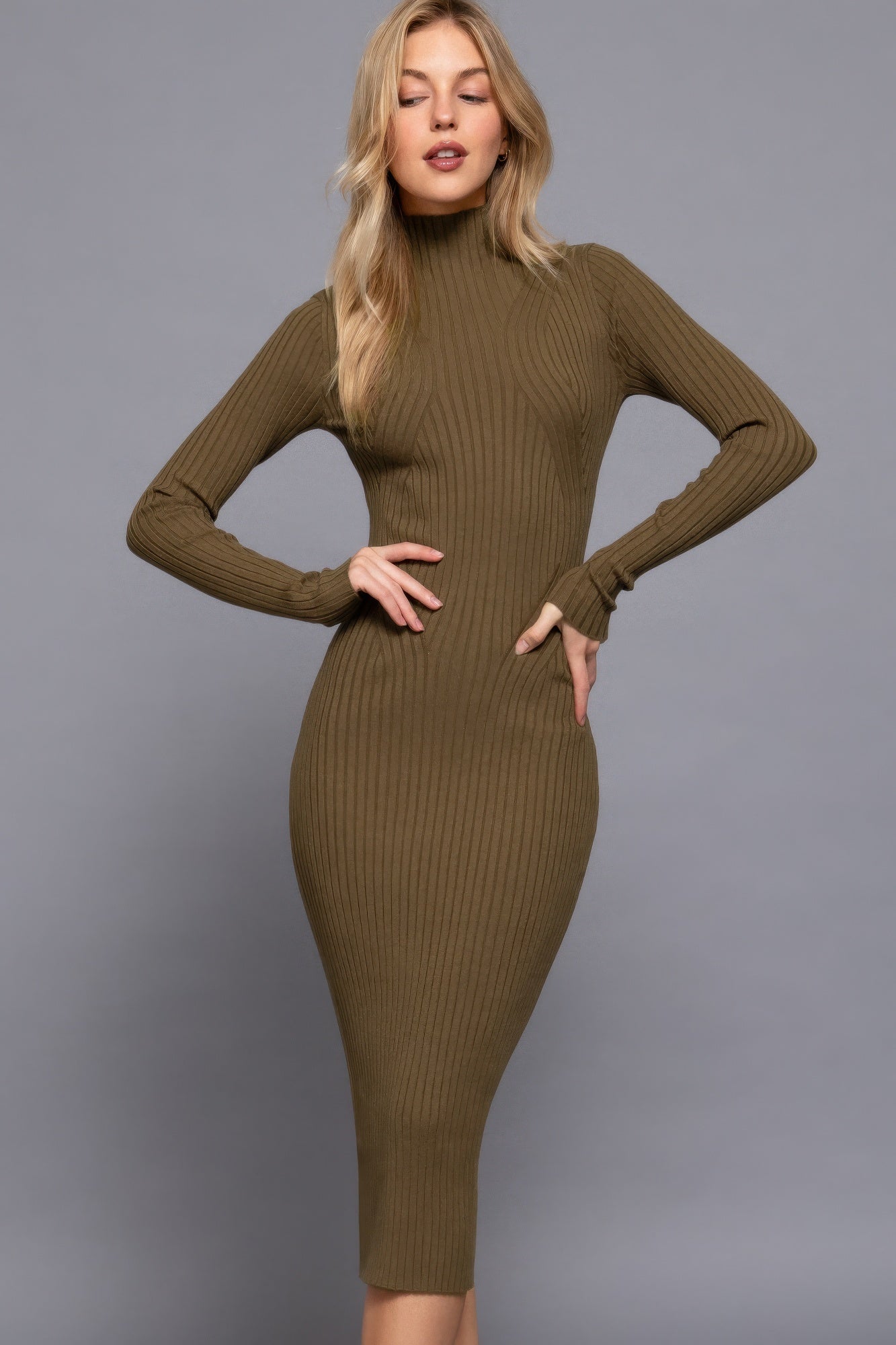 A stylish Long Sleeve High Neck Sweater Dress for women. this piece adds a touch of elegance to your outfit - Brinxx Couture