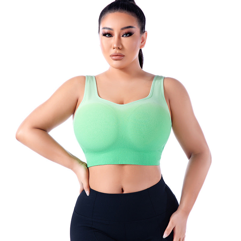 Plus Size Gradient Sports Bra - Brinxx Couture