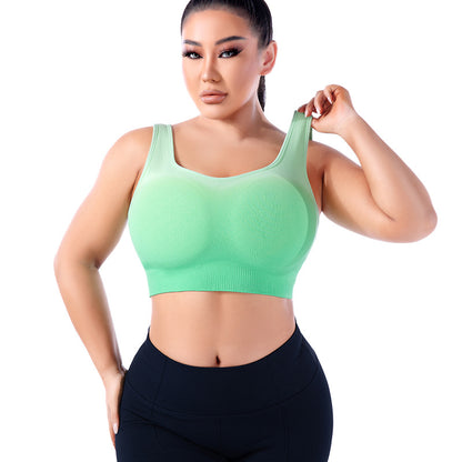 Plus Size Gradient Sports Bra - Brinxx Couture