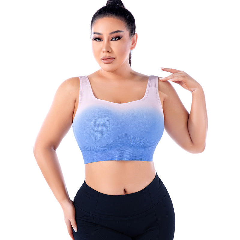 Plus Size Gradient Sports Bra - Brinxx Couture