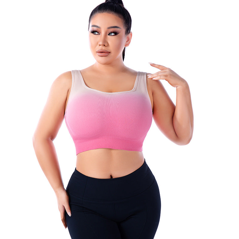 Plus Size Gradient Sports Bra - Brinxx Couture