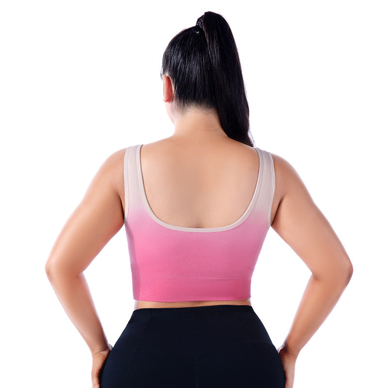 Plus Size Gradient Sports Bra - Brinxx Couture