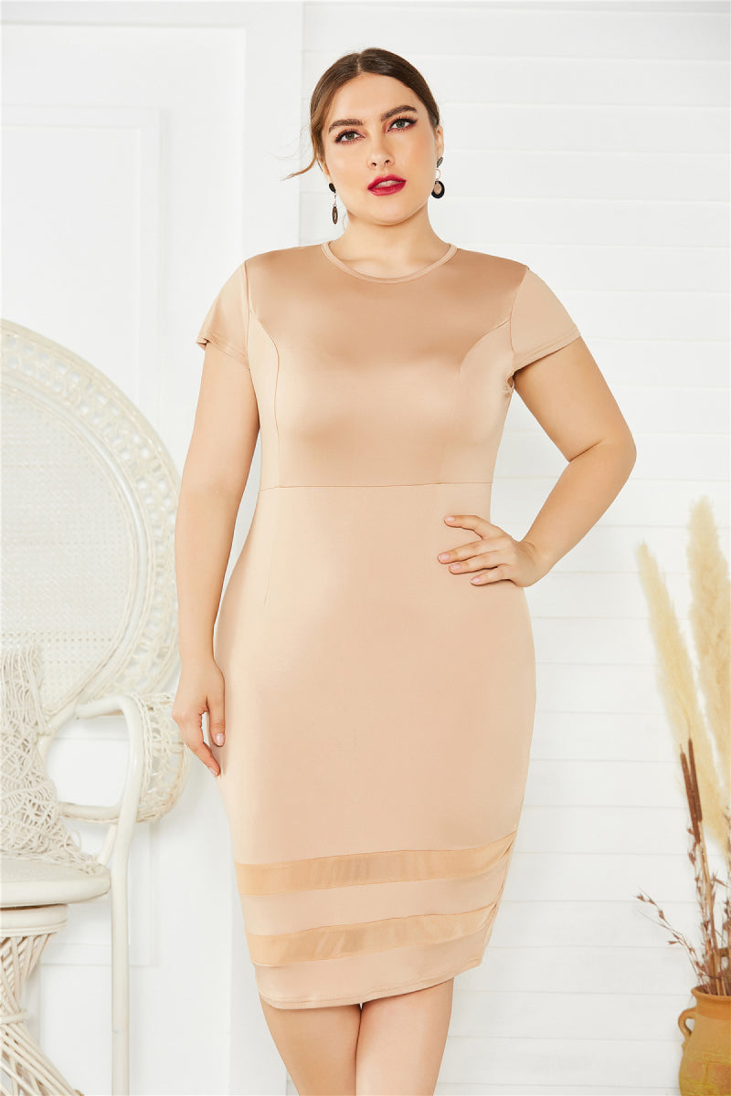 Plus Size Mesh Detail Midi Dress - Brinxx Couture