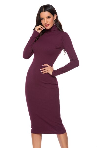 Ribbed Turtleneck Long Sleeve Dress - Brinxx Couture