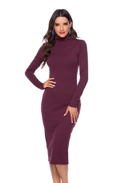 Ribbed Turtleneck Long Sleeve Dress - Brinxx Couture